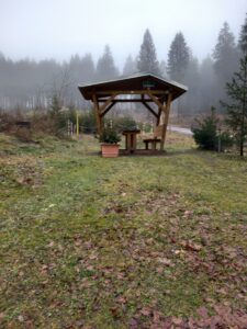 Spaziergang im Thüringer Wald