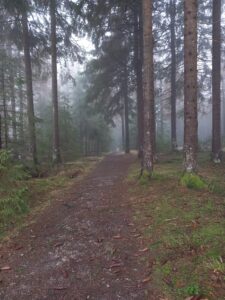 Thüringer Wald