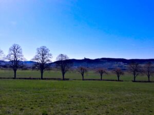 Blick auf Kloster Banz