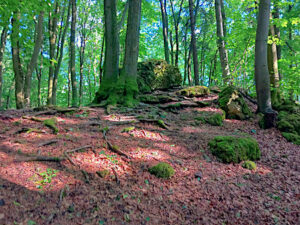 Stein bei der Jungfernhöhle