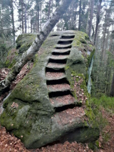 Holzfrauen