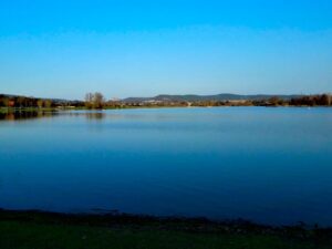 Mainauensee