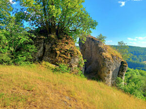 majestätischer Eulenstein