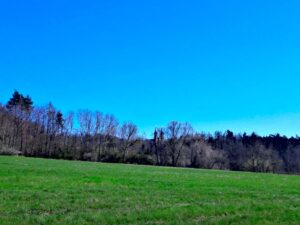 Blick auf Vierzehnheiligen