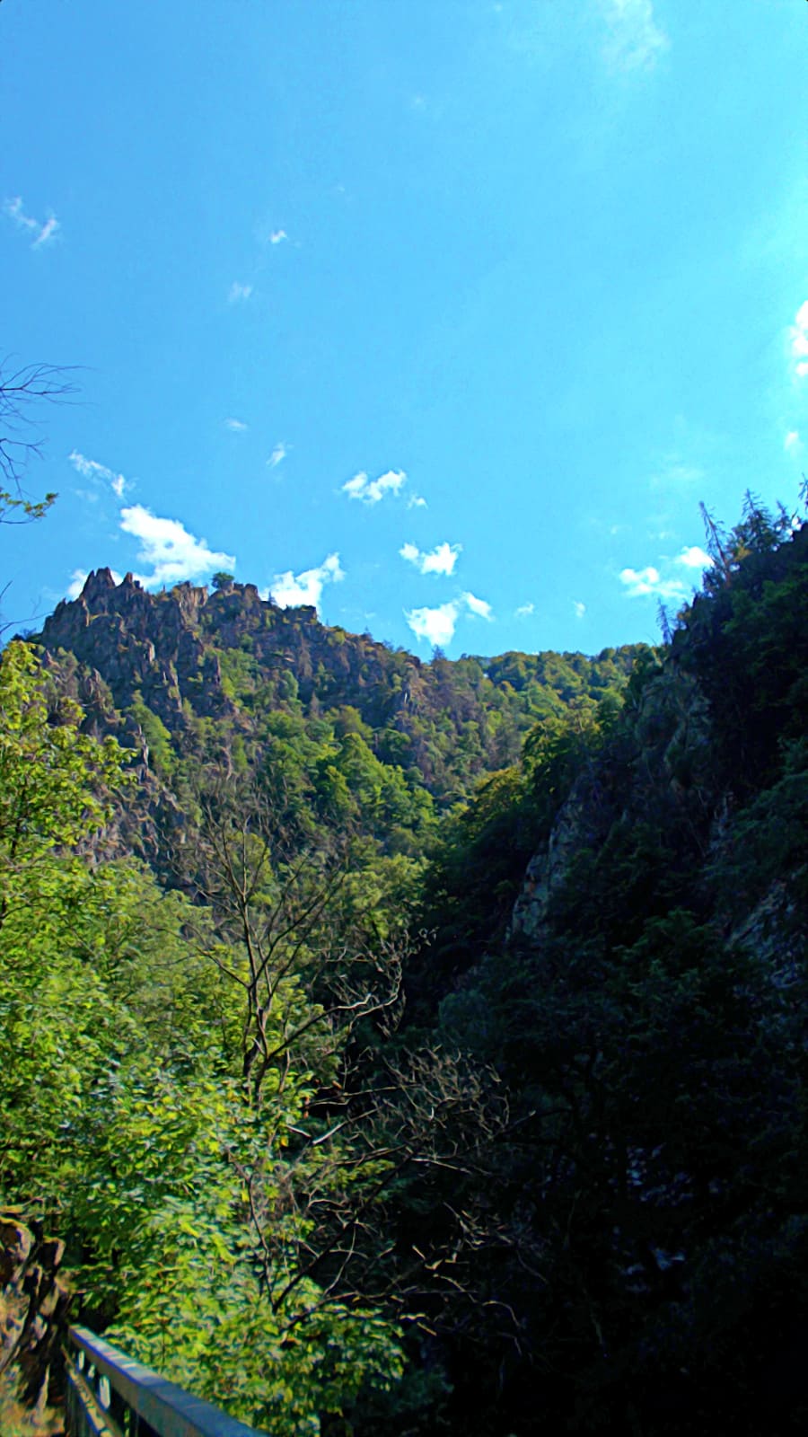 Wanderung An Der Bode 2022 | Draussenkind.eu