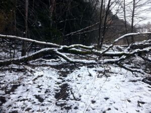 Wanderung am Froschgrundsee